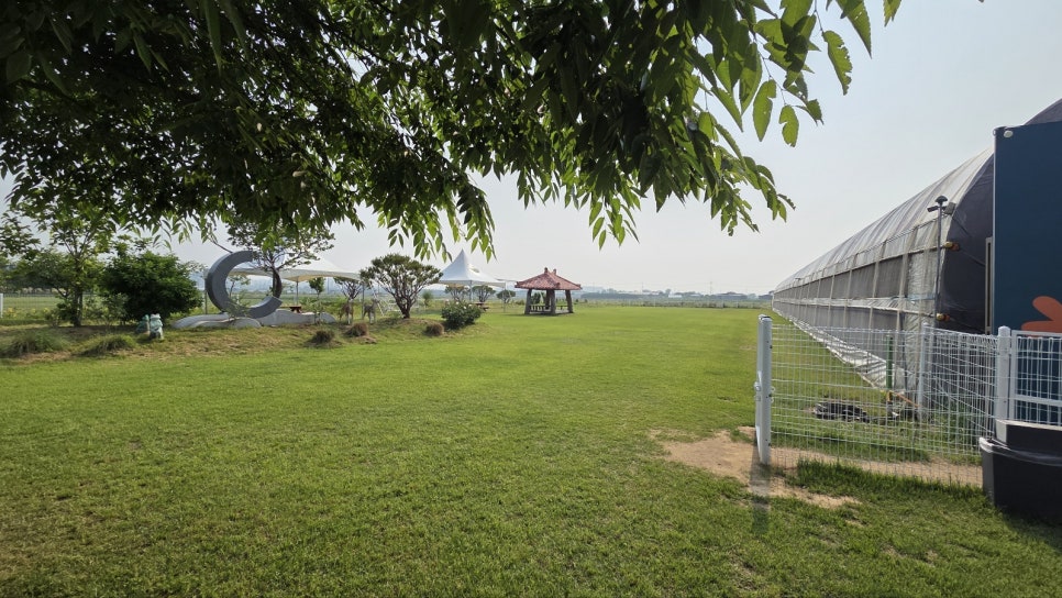 KakaoTalk_20250529_091651518_14
